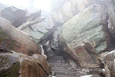 《怪物猎人世界》有趣MOD：恐暴龙越猛越小